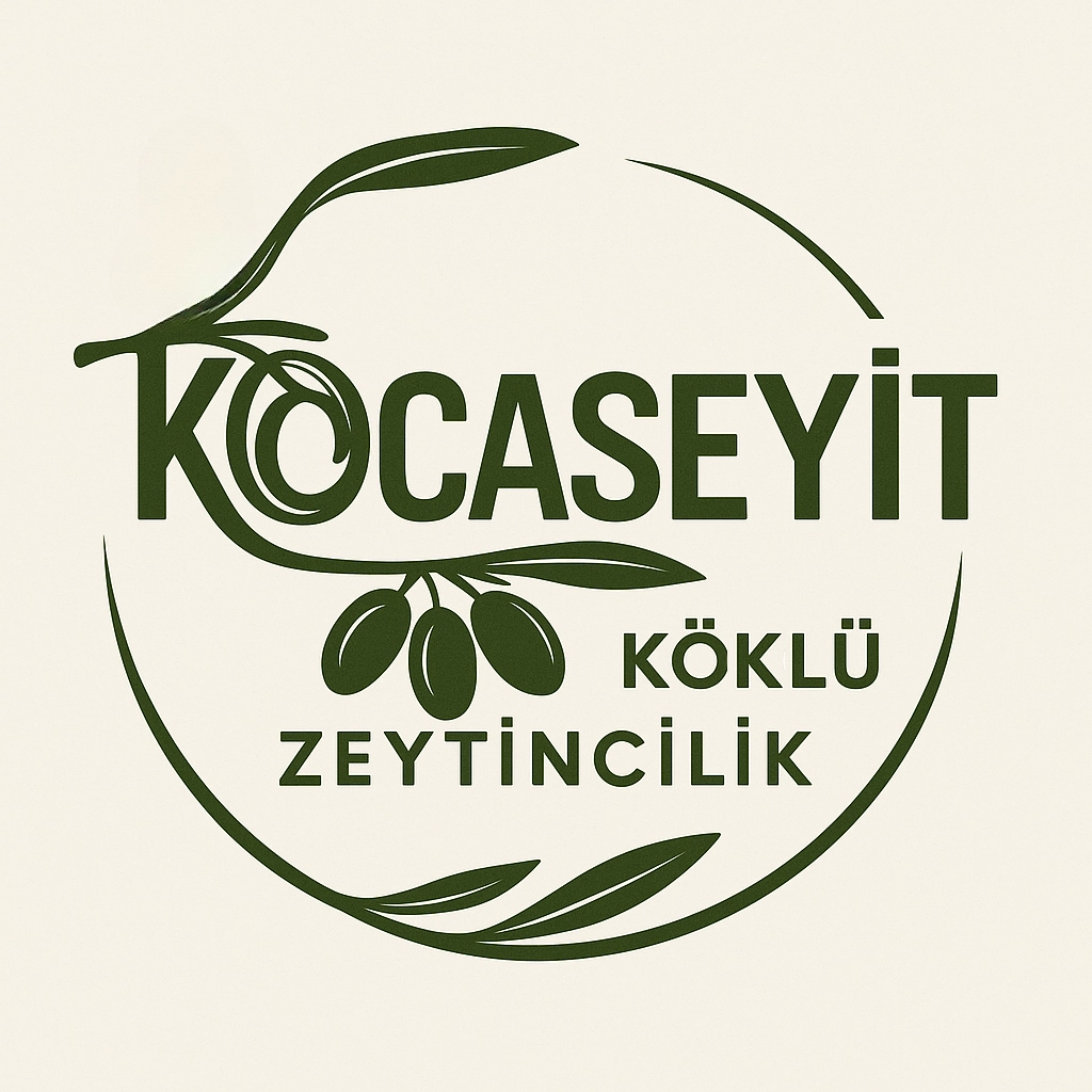 Kocaseyit köklü zeytincilik