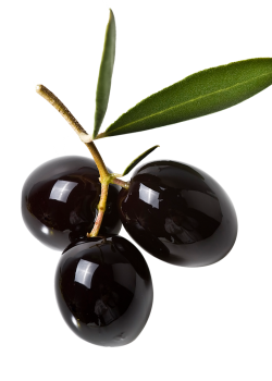 Siyah Zeytin