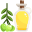 Erken Hasat Zeytinyağı